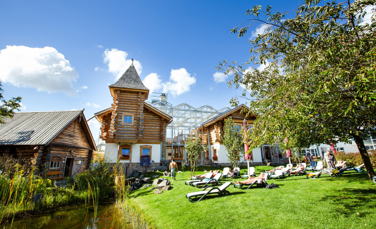 Im Hintergrund steht ein majestätischer Baum, der die Landschaft bereichert.