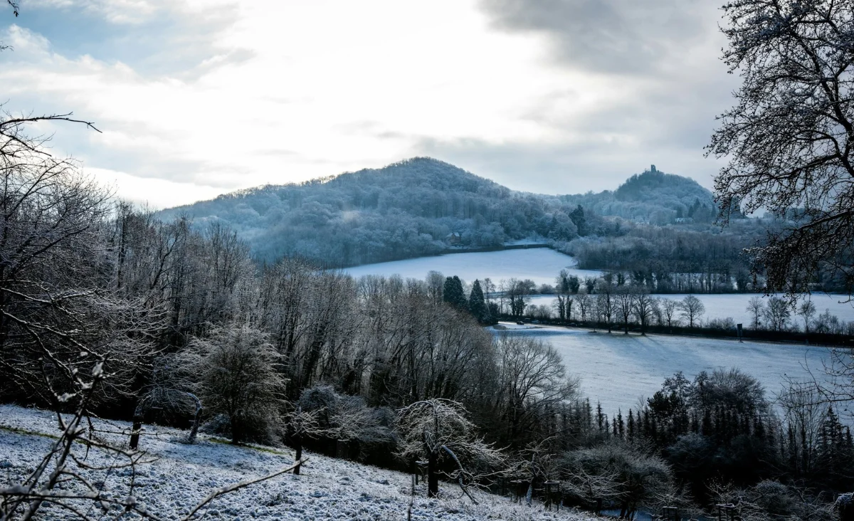 Schneelandschaft in Königswinter mit verschneiten Bäumen und sanften Hügeln.