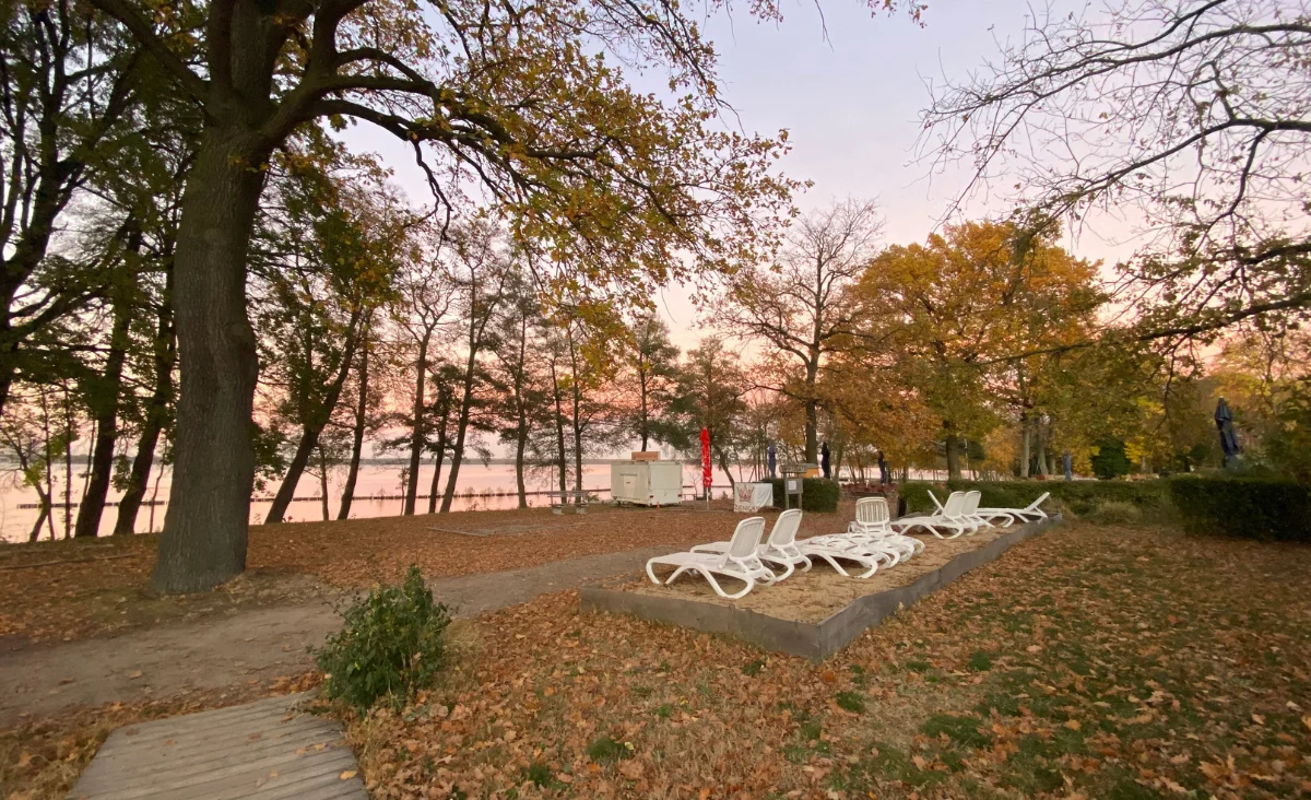 Herbstlandschaft mit Liegestühlen und Bäumen vor dem Hotel Müggelseeperle in Berlin-Köpenick.