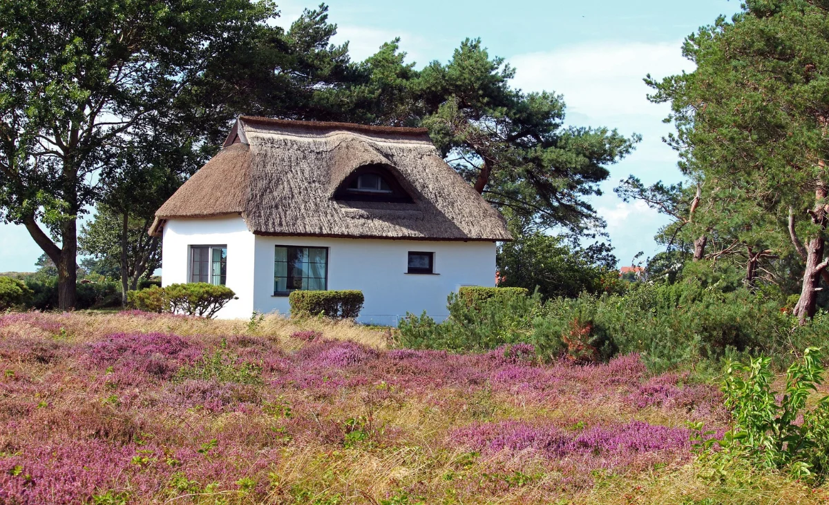 Ein kleines Haus mit einem Reetdach, umgeben von einer malerischen Landschaft an der Ostsee.