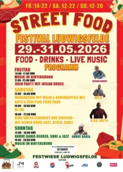 Plakat mit gelbem Hintergrund und roten sowie grünen Akzenten. Im oberen Bereich steht in großen roten Buchstaben 'STREET FOOD', darunter in etwas kleinerer Schrift 'FESTIVAL LUDWIGSFELDE'. Die Veranstaltungsdaten '29.-31.05.2026' sind mittig hervorgehoben. Darunter folgt eine Auflistung des Programms für Freitag, Samstag und Sonntag, jeweils mit Zeitangaben, Künstlernamen und Programmpunkten. Am unteren Rand befindet sich der Hinweis auf den Veranstaltungsort 'FESTWIESE LUDWIGSFELDE' sowie Logos von Partnern. Mehrere Porträtfotos der auftretenden Künstler sind neben den jeweiligen Programmpunkten abgebildet. Das gesamte Plakat ist farbenfroh gestaltet und mit grafischen Elementen wie Essenssymbolen und Musiknoten verziert.